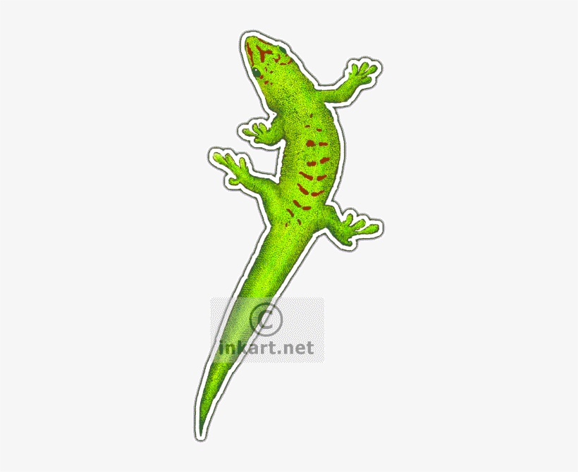 Giant Day Gecko Decal - Phelsuma, transparent png #2118460