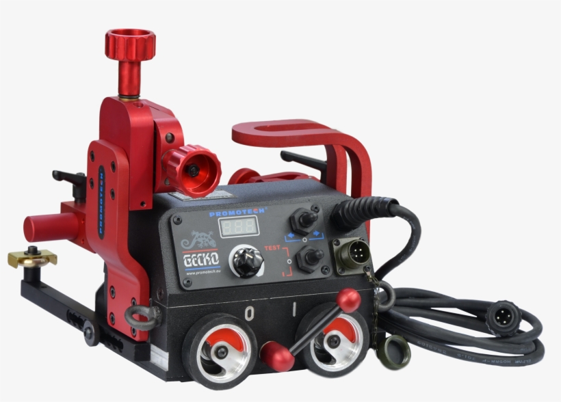 Gecko, transparent png #2118618