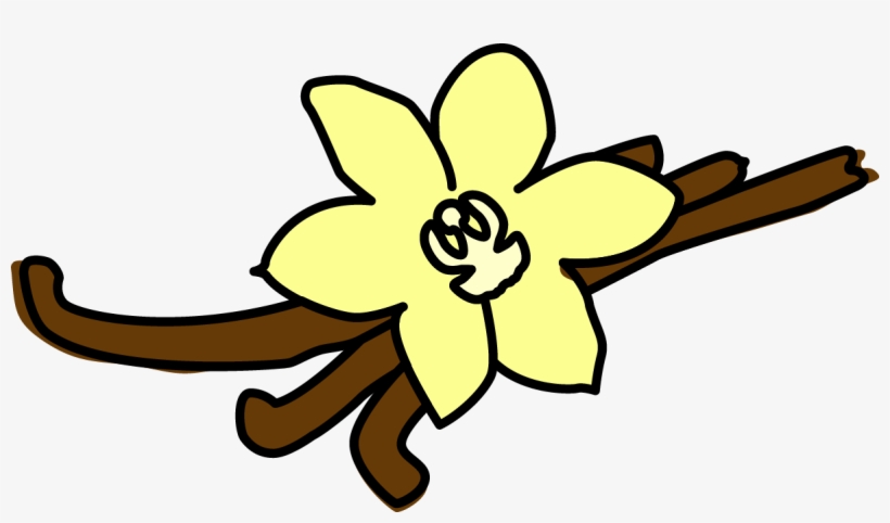 Madagascar Vanilla Ice Cream, transparent png #2118851