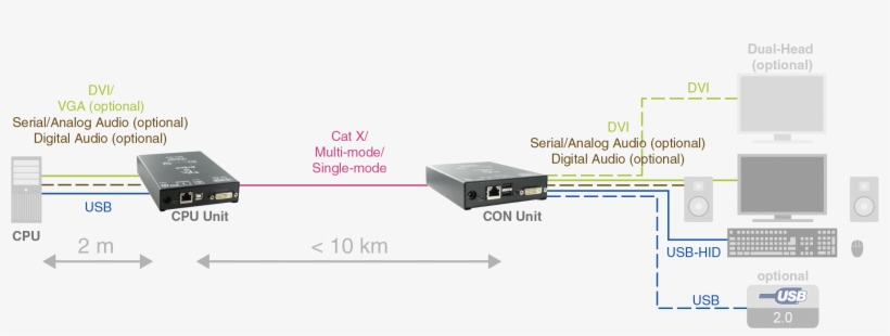 Draco Compact - Portable Network Graphics, transparent png #2119743
