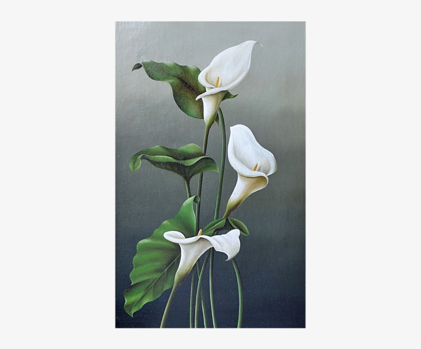 Still Life With Calla Lily Oil On Canvas - Oil Painting, transparent png #2120033