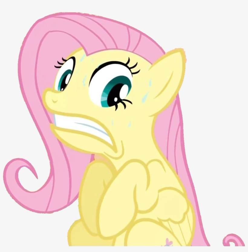 , Nope Nope Nope Nope Nope ) - My Little Pony Fluttershy Front, transparent png #2120340