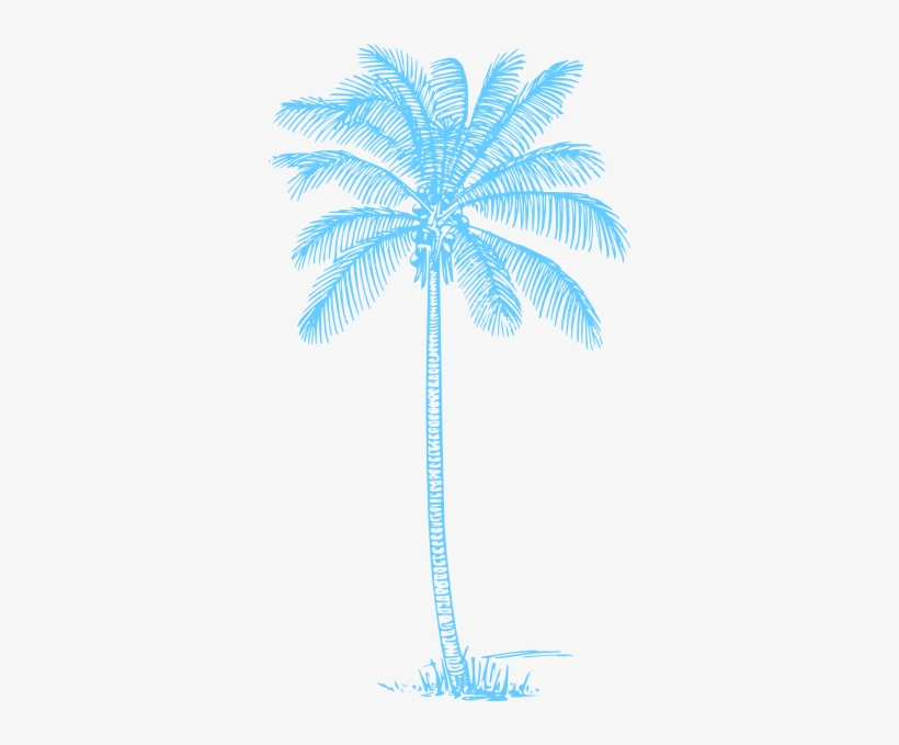 Pencil Drawing Coconut Tree Stock Illustration 781019323 | Shutterstock