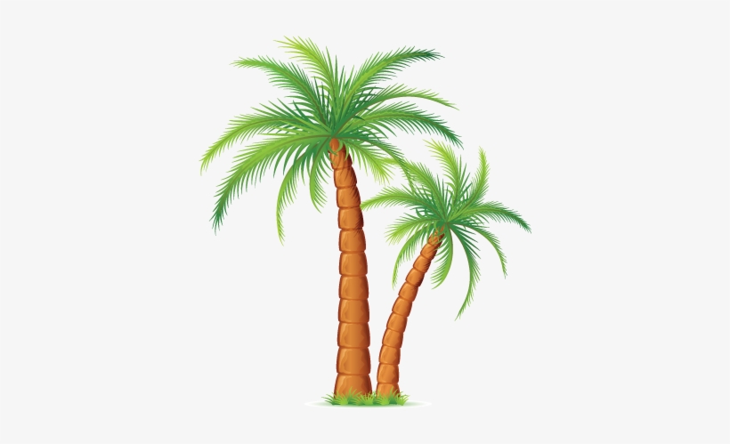 Palmeras Png - Idaman Permai Resort - Free Transparent PNG Download - PNGkey Palmeras Png - Idaman Permai Resort - Free Transparent PNG Download - PNGkey