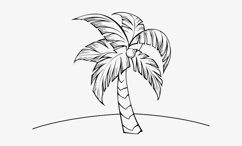 Dibujo De Una Palmera, transparent png #2121722