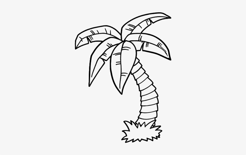 Colouring Pages Palm Trees, transparent png #2122050