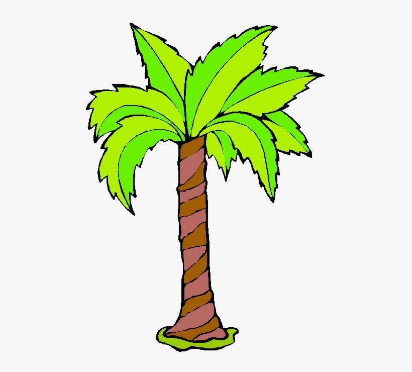 Palmeras Dibujo Animado Imagui - Free Transparent PNG Download - PNGkey