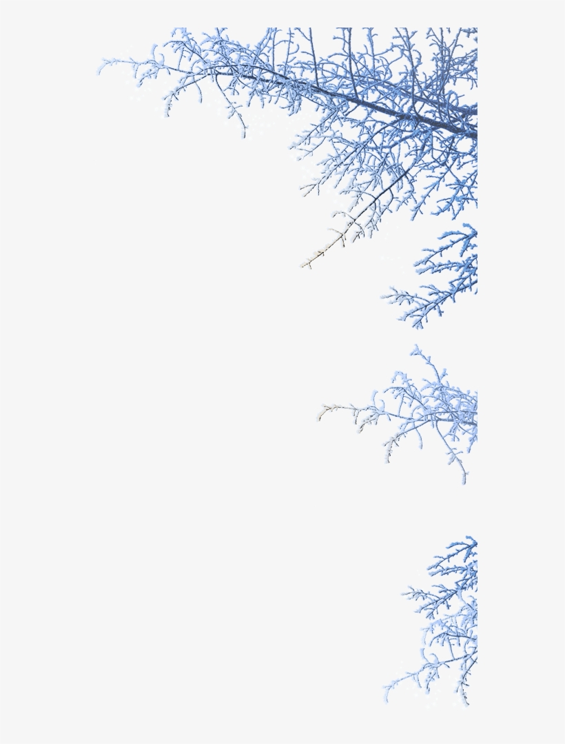 Opens Thurs 22 Nov At 4pm - Winter Png, transparent png #2122353