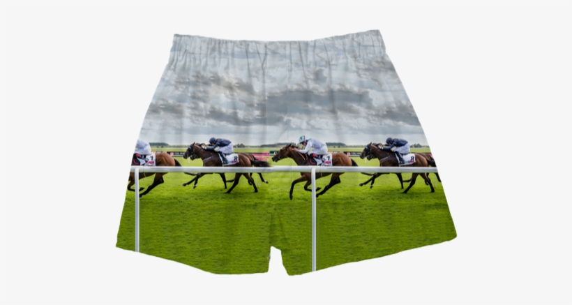 Horse Racing Boxers - Artificial Turf, transparent png #2123347