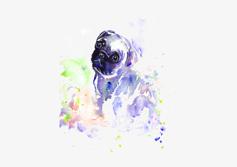 Pug, transparent png #2123378