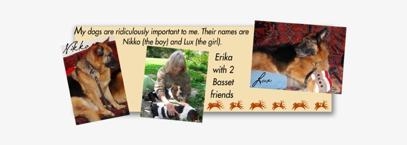 Erika Has Boxed Sets Of Greeting Cards Available In - Old German Shepherd Dog, transparent png #2123402