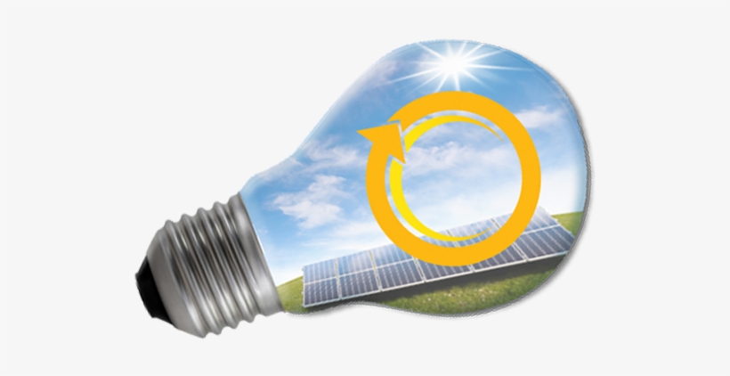 Reduce Your Energy Bills - Light Bulb Money, transparent png #2124626
