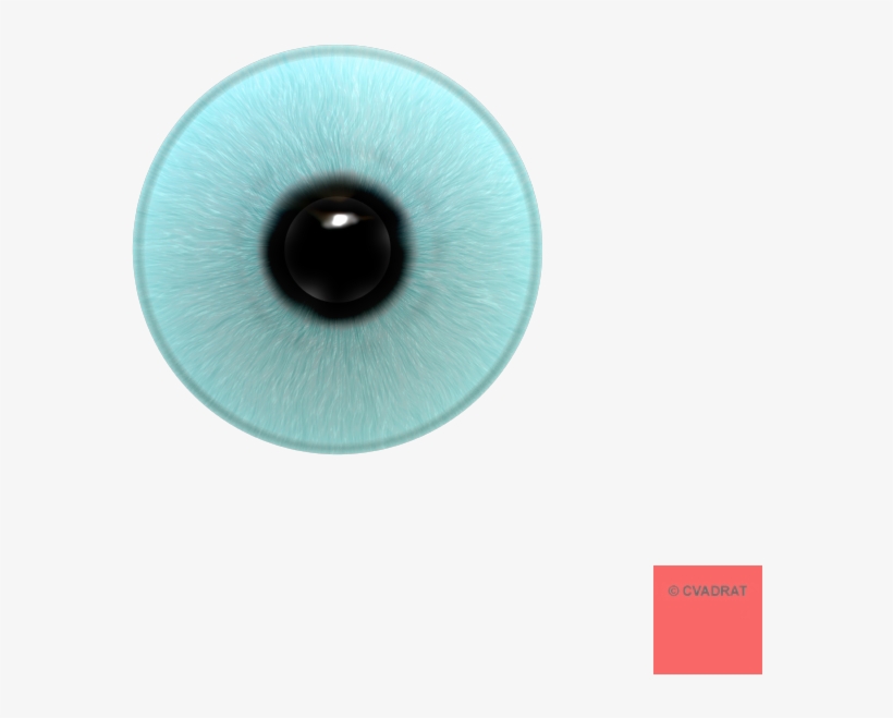 Circle, transparent png #2124649