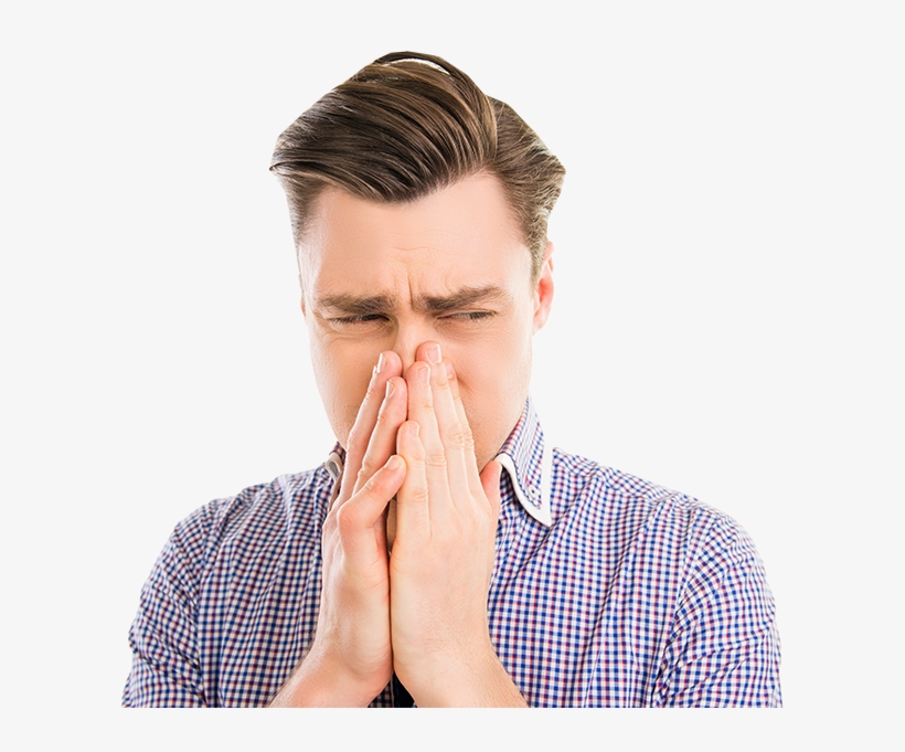 Saysayonaratobadsmells - Bad Smell Png, transparent png #2125431