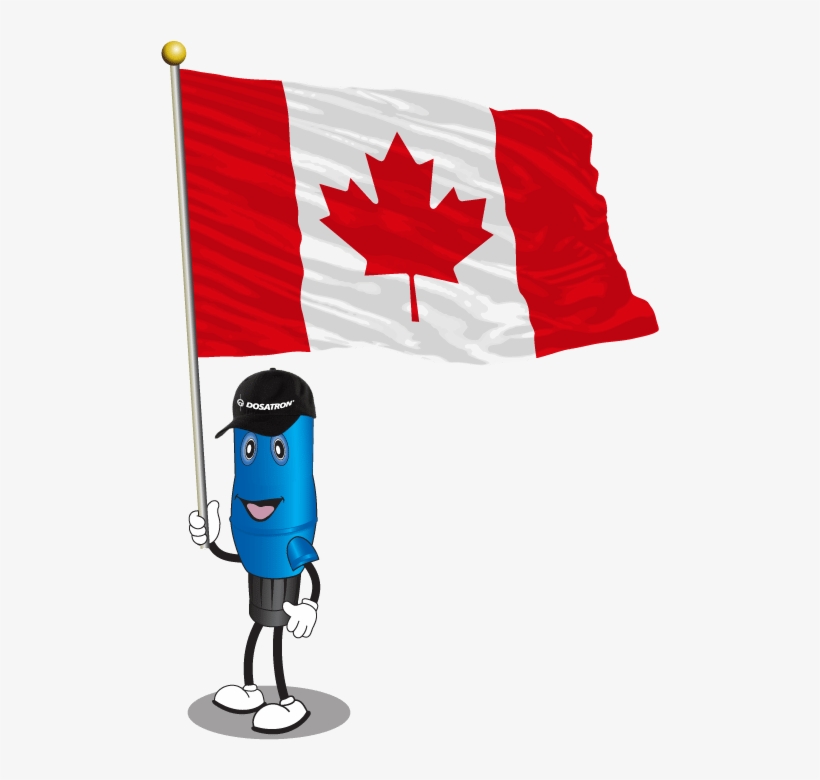 Dosie Canadian Flag - Canada Flag, transparent png #2126528