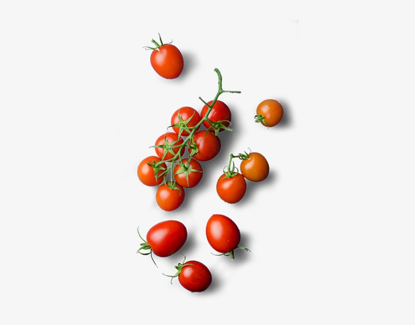 Tomates-cerise - Vegetable Png Top Wiev, transparent png #2127115