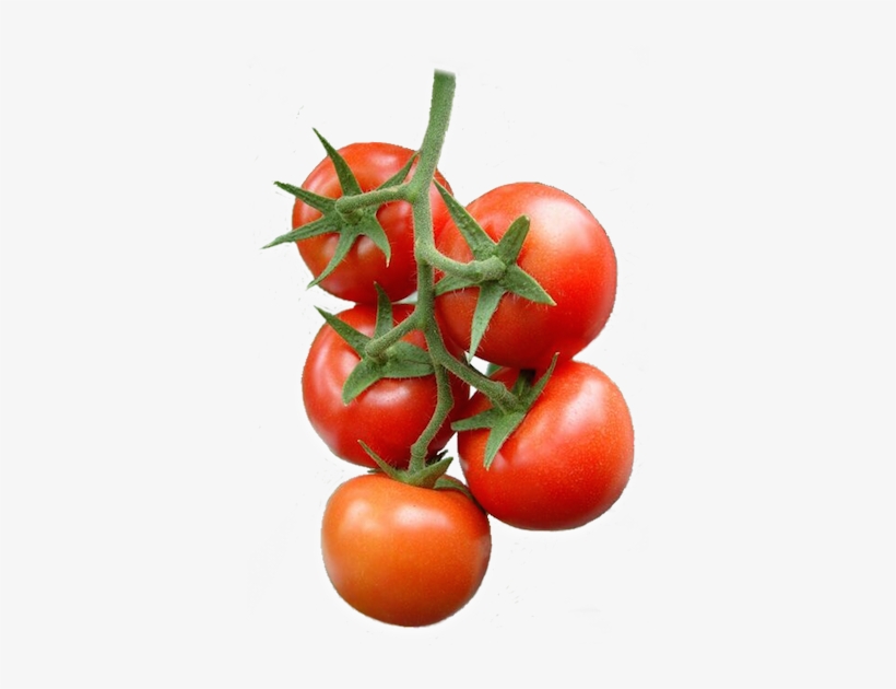 Buchet De Tomate - Томаты Пнг, transparent png #2127326