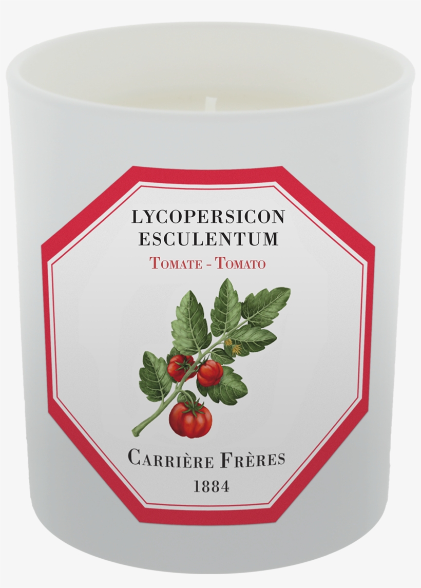 Carriere Freres - Tiare (gardenia Tahitensis) Candle, transparent png #2127676