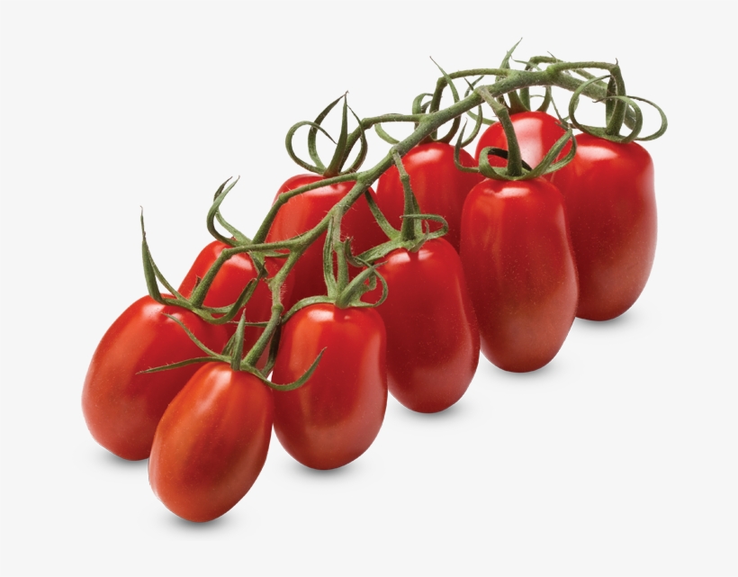 Mini San Marzano Vine Tomatoes - Certified Organic Seeds (apr. 100) - San Marzano Paste, transparent png #2127798