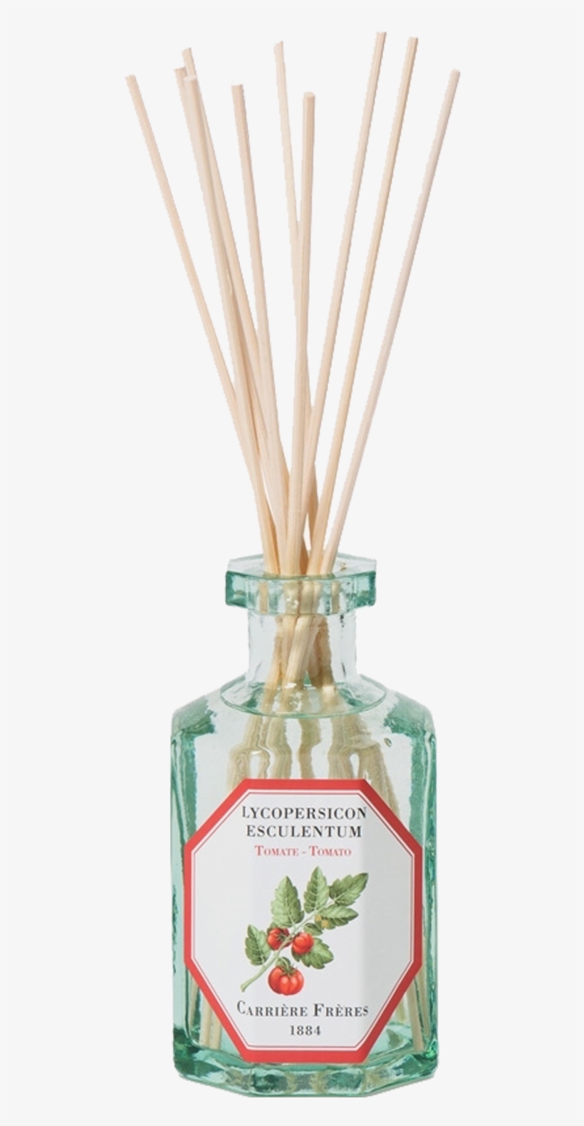 Spearmint, transparent png #2127823