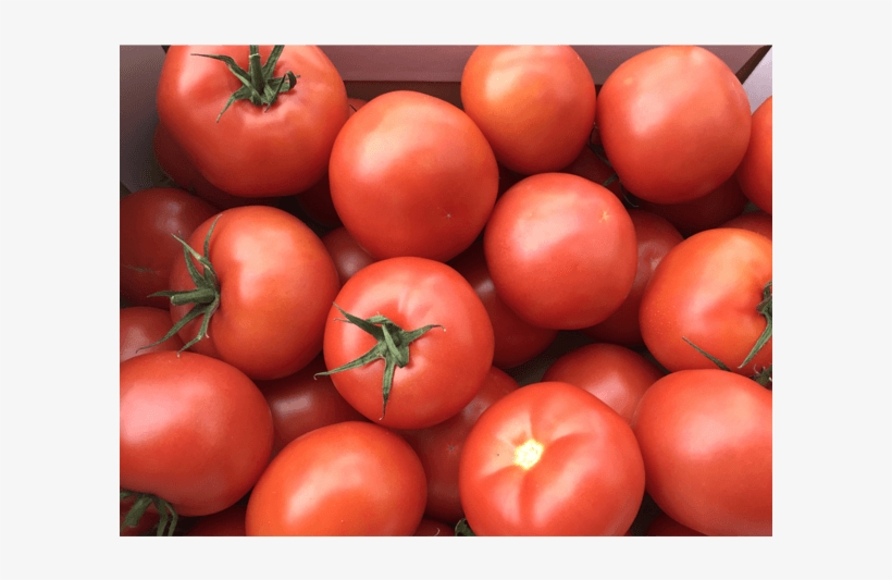Tomate - Tomato, transparent png #2127961
