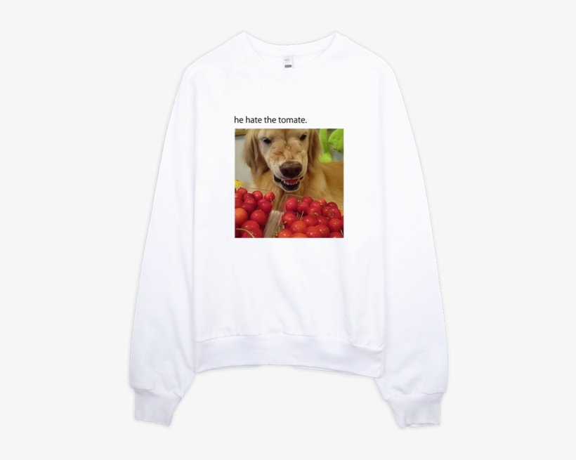 Sweatshirt, transparent png #2128007