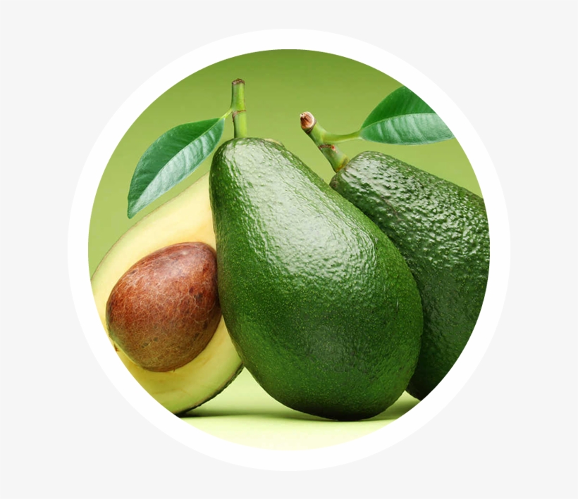 Contactenos - Boost Metabolism And Lose Weight Essentials, transparent png #2130125