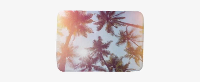 Palms Trees On A Beach Vintage Stylized With Film Light - Film, transparent png #2130127