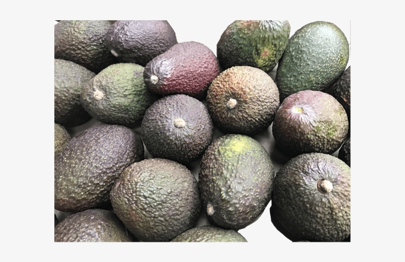 Aguacate - Food, transparent png #2130274