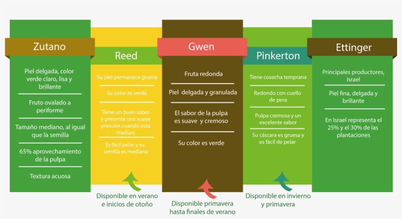 La Palabra Guacamole Proviene Del Náhuatl ”ahuacamolli”, - Brochure, transparent png #2130447