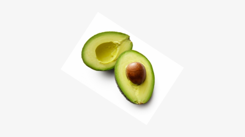 This Cycle Is Responsible For The Synthesis Of Major - Avocado, transparent png #2130467