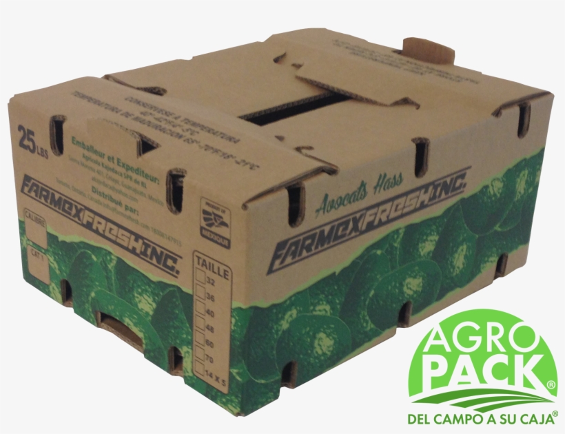 Caja De Aguacate - Cajas De Carton Para Aguacate, transparent png #2130488