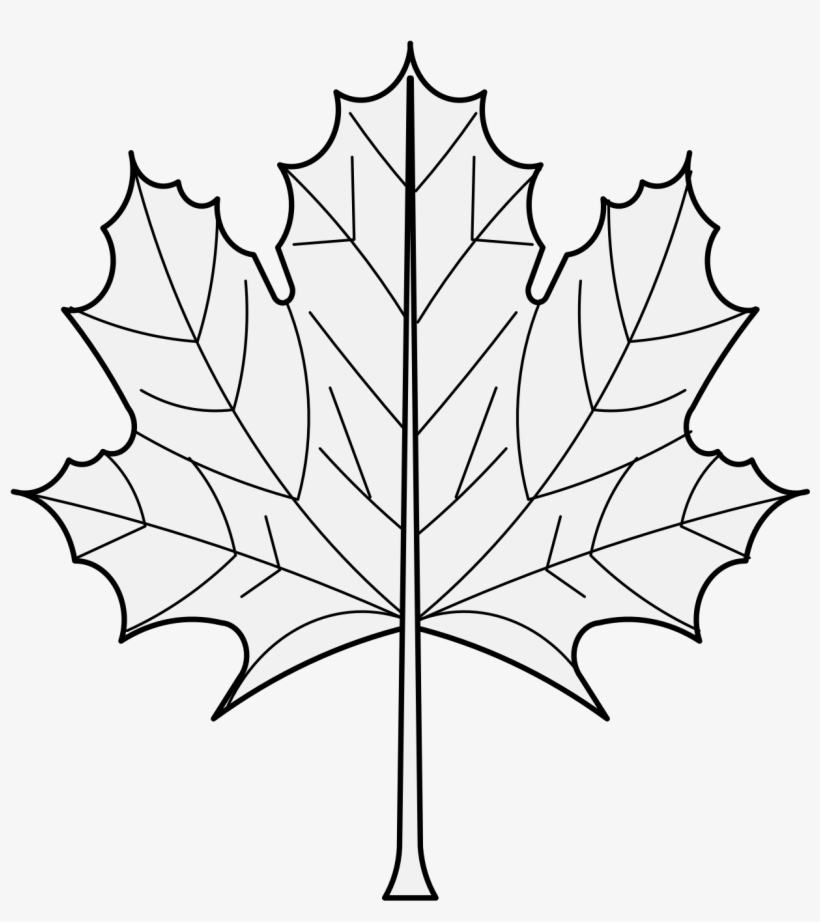 Details, Png - Maple Leaf, transparent png #2131501