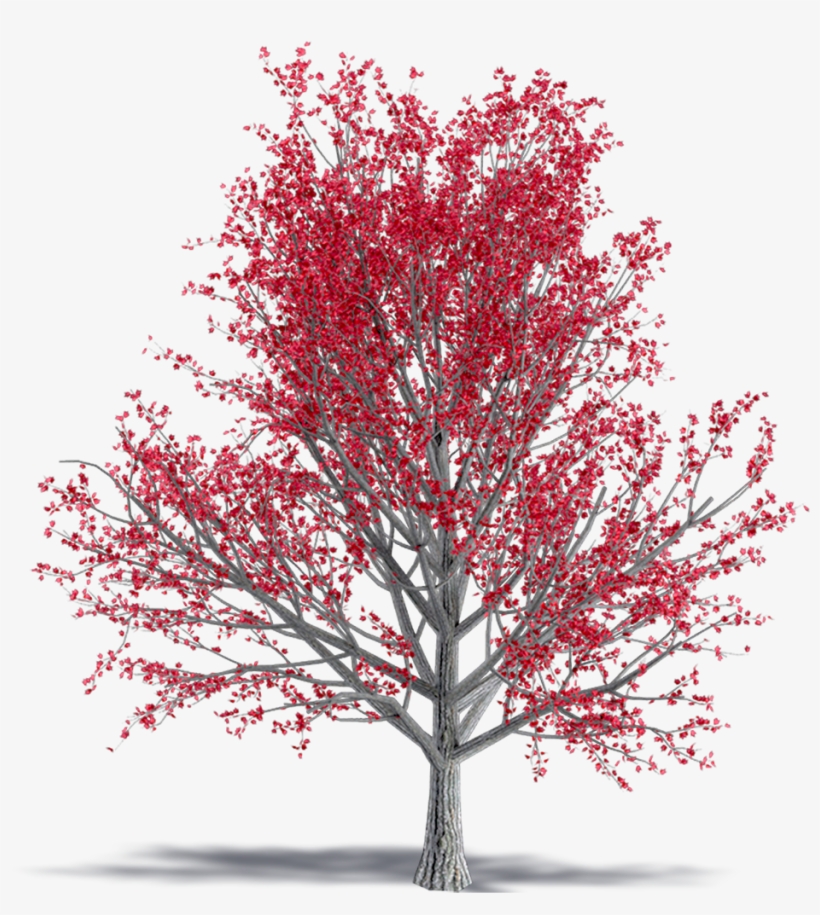 Computer-aided Design, transparent png #2131591