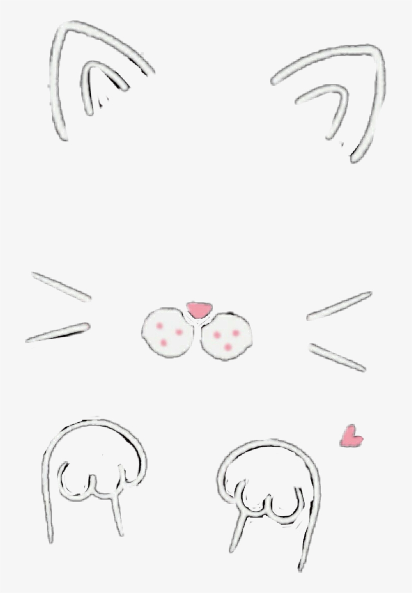 Report Abuse - Snow Cat Filter Transparent, transparent png #2131952