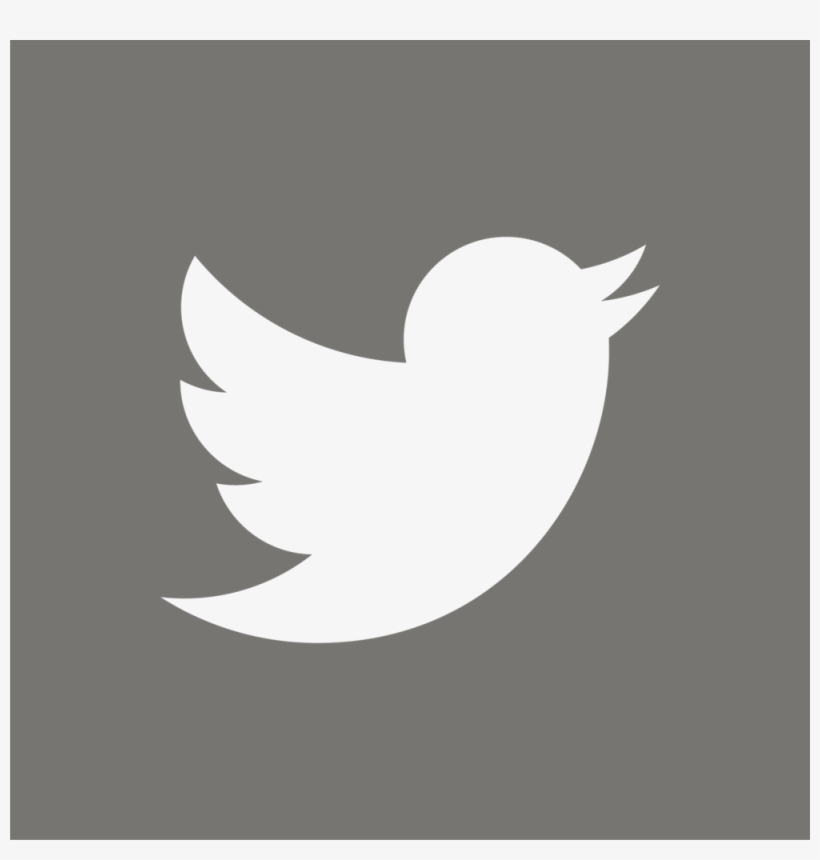 Twitter Logo Clear On Grey-05 - Twitter Logo On Grey Background, transparent png #2134249