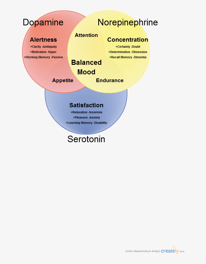 Dopamine Norepinephrine Serotonin Venn Diagram - Rôle De La Dopamine, transparent png #2136844