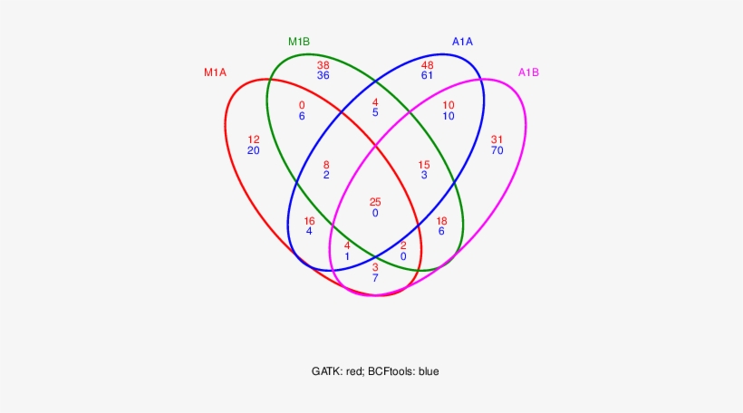 Venn Diagram For 4 Samples From Gatk And Bcftools - Rna-seq, transparent png #2137025