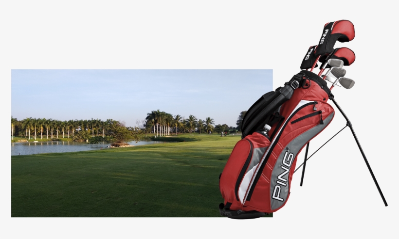 The-course - Ping Moxie I Sets (ages 10-11), transparent png #2138837