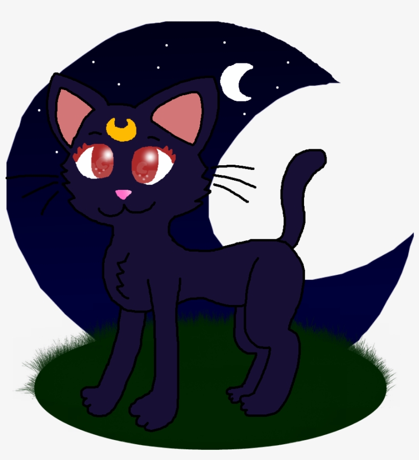 Favorite - Cat, transparent png #2138926