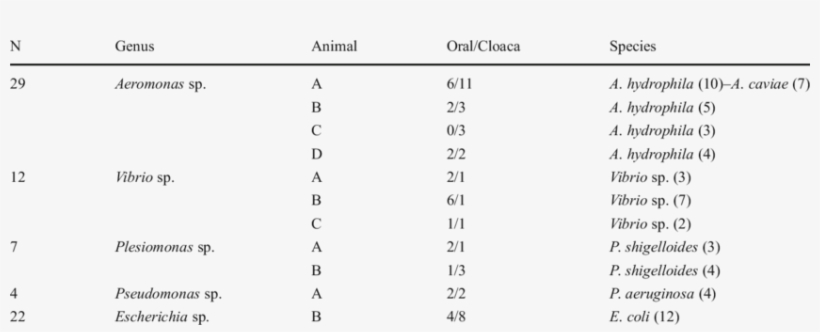Of Bacteria Download Table - Bacteria, transparent png #2139916