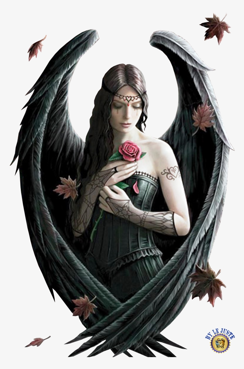Dark Angels, Fallen Angels, Gothic Artwork, Angel Artwork, - Anne Stokes Angel Rose Poster 24x36, transparent png #2140862