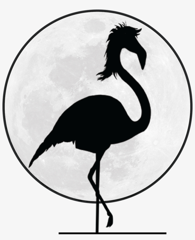 Mullet Party Mullet Party - Canyon County Idaho Seal, transparent png #2140866