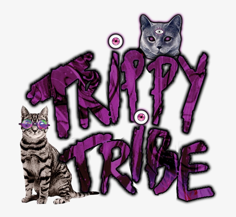 Trippy Tribe - Note Cards (pk Of 20), transparent png #2140889