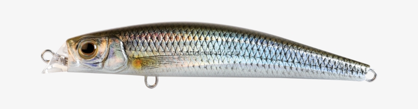 Mullet, transparent png #2141062