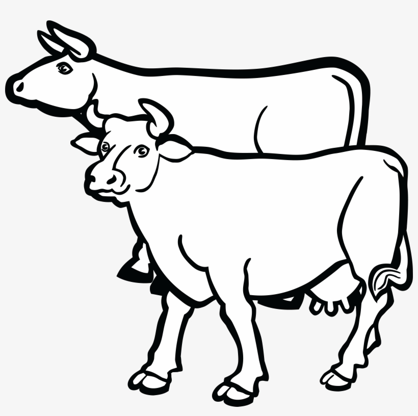 , , - Group Of Cow Drawing, transparent png #2142072
