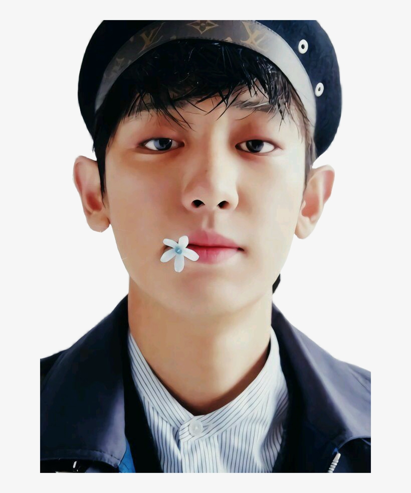 Image Library Library Exo Kpop Parkchanyeol Aesthetic - Exo Profile 2017 Chanyeol, transparent png #2142514