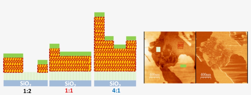 Graphic Design, transparent png #2143109