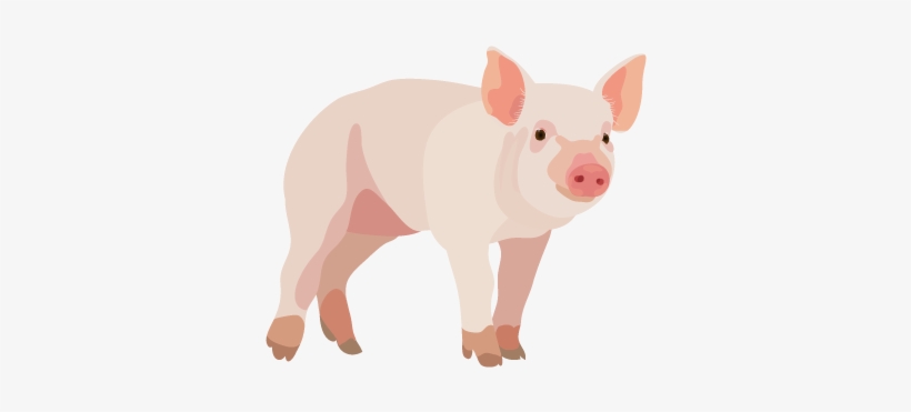 201408 Pig - Pig Png, transparent png #2143189
