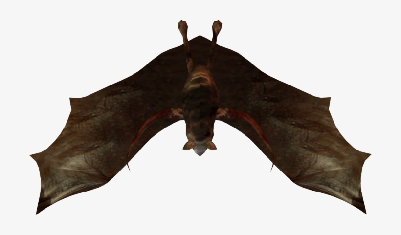 The Little Bats Have A Wingspan Of About 2 Feet - Dundjinni Bat, transparent png #2143595